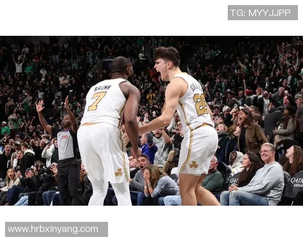 国王队与篮网队激战回顾精彩瞬间与关键时刻分析